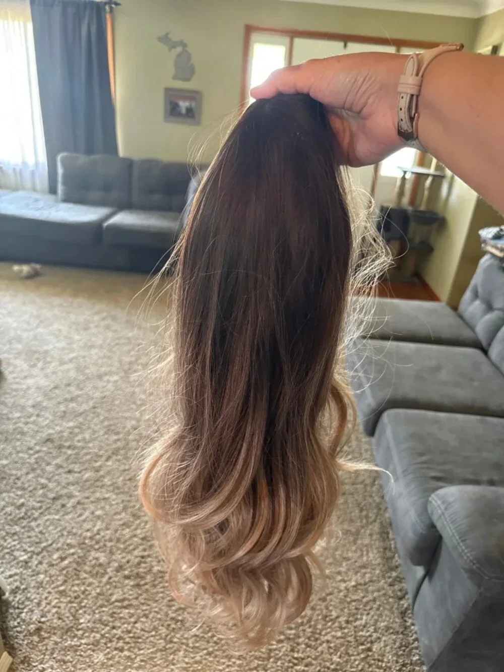 Ombré Wig